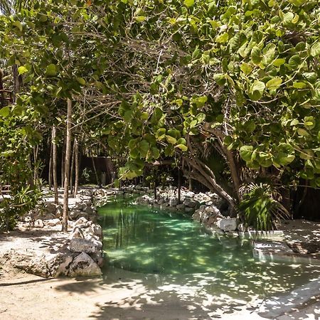 Niken Beachfront Tulum Hotel Exterior photo