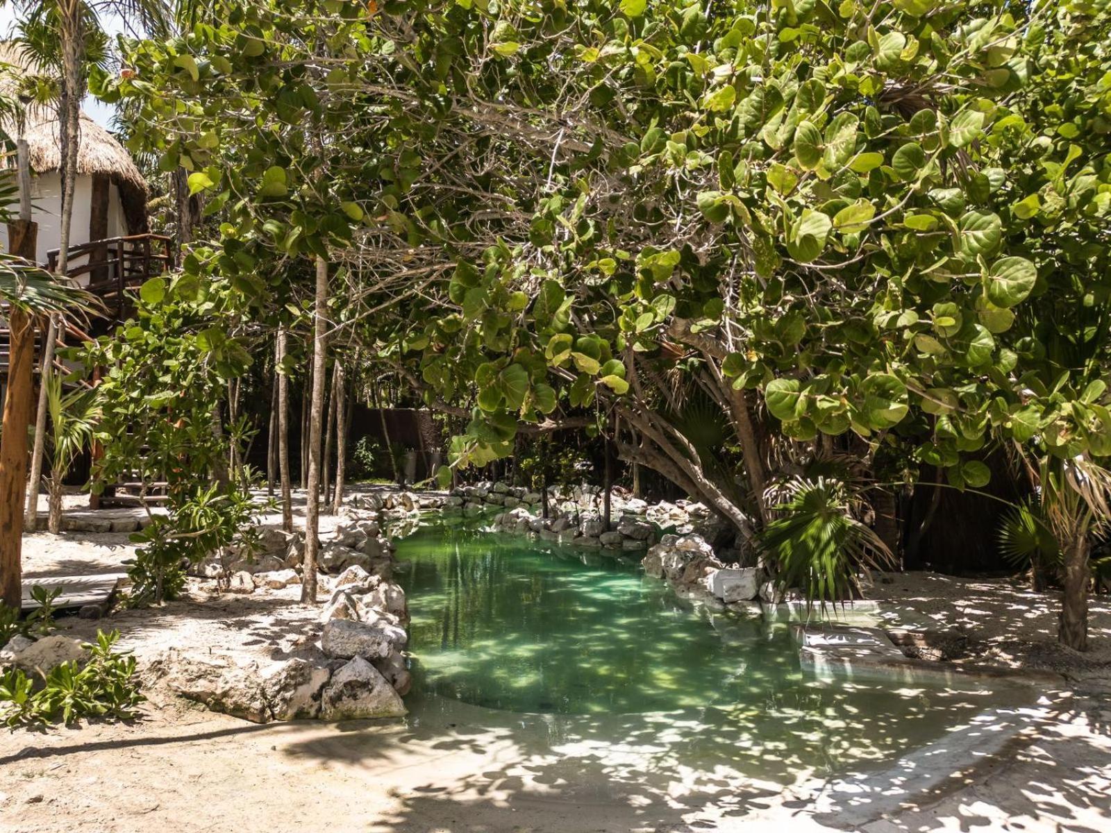 Niken Beachfront Tulum Hotel Exterior photo