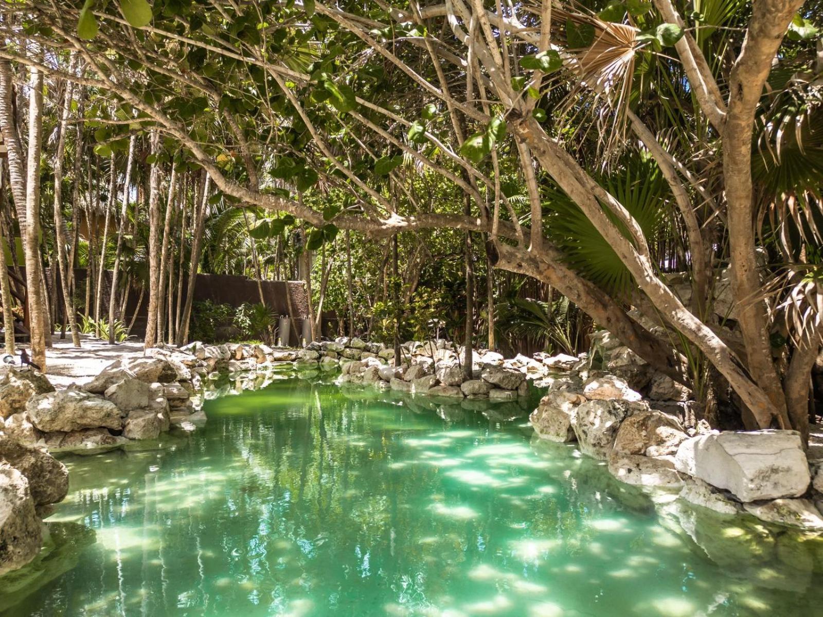 Niken Beachfront Tulum Hotel Exterior photo